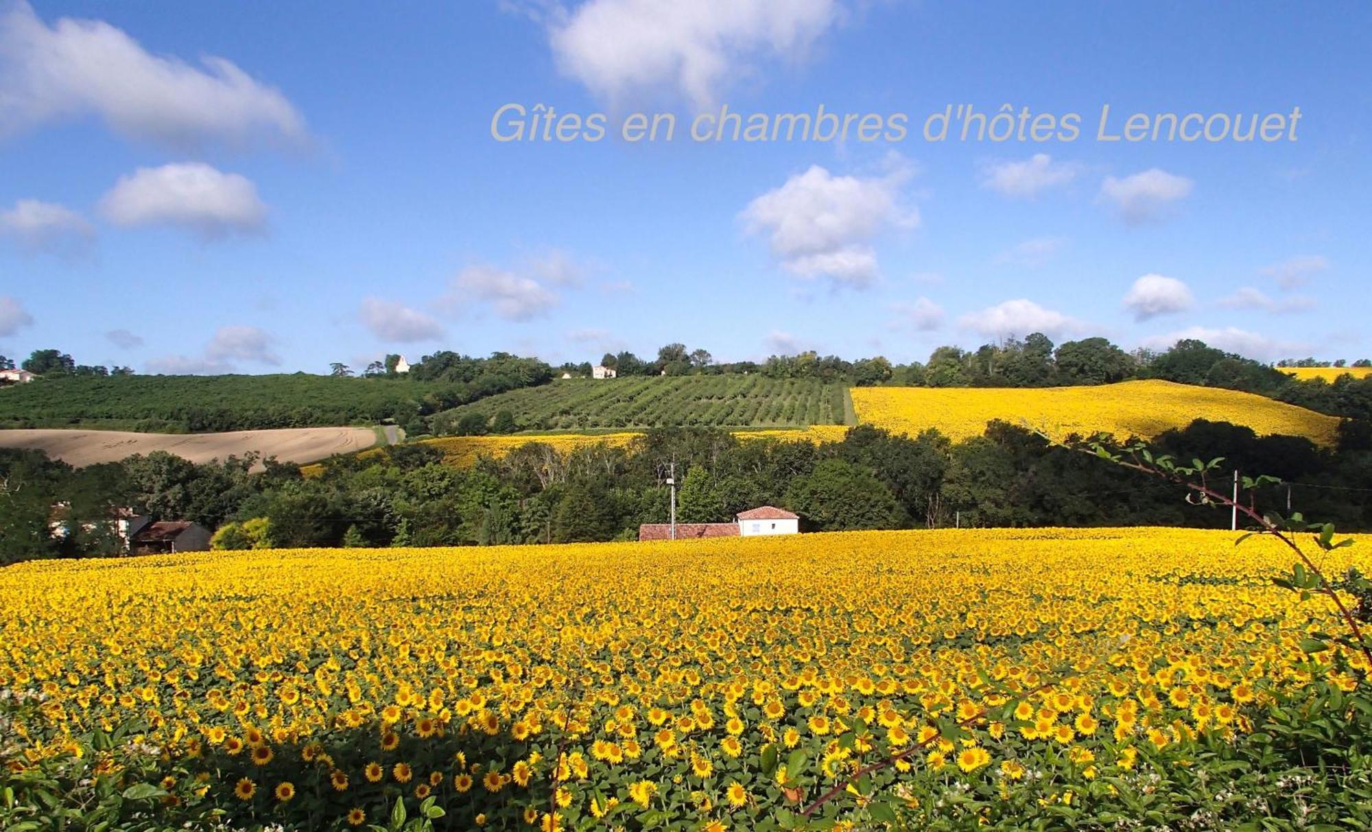 Bed and Breakfast Chambre D'Hotes Lencouet Feugarolles Экстерьер фото